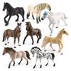Children's Horse Cognitive Simulation Model Ornament (Quarter Horse, Appaloosa, Hanoverian)