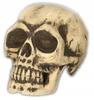 Decoration Realistic Artificial Skull Head Halloween 32Cm