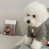 Pet Dog Shirt for Small Dogs Fashion Dog Clothes Spring Puppy Pullovers Cute Solid Cat Bottoming Shirt Pet Sweatshirts Dog Vest
