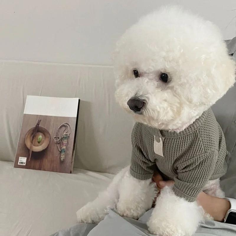 Pet Dog Shirt for Small Dogs Fashion Dog Clothes Spring Puppy Pullovers Cute Solid Cat Bottoming Shirt Pet Sweatshirts Dog Vest
