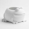 Decorative White Flowerpot for Plants In the Shape of a Frog, Modern Design