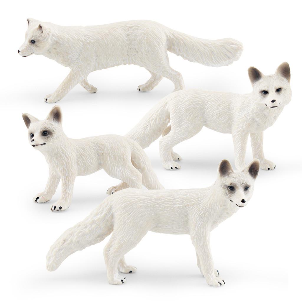 Realistic Polar Fox Model Set Four Variants Of Arctic Fox Figurines For Display And Collecting