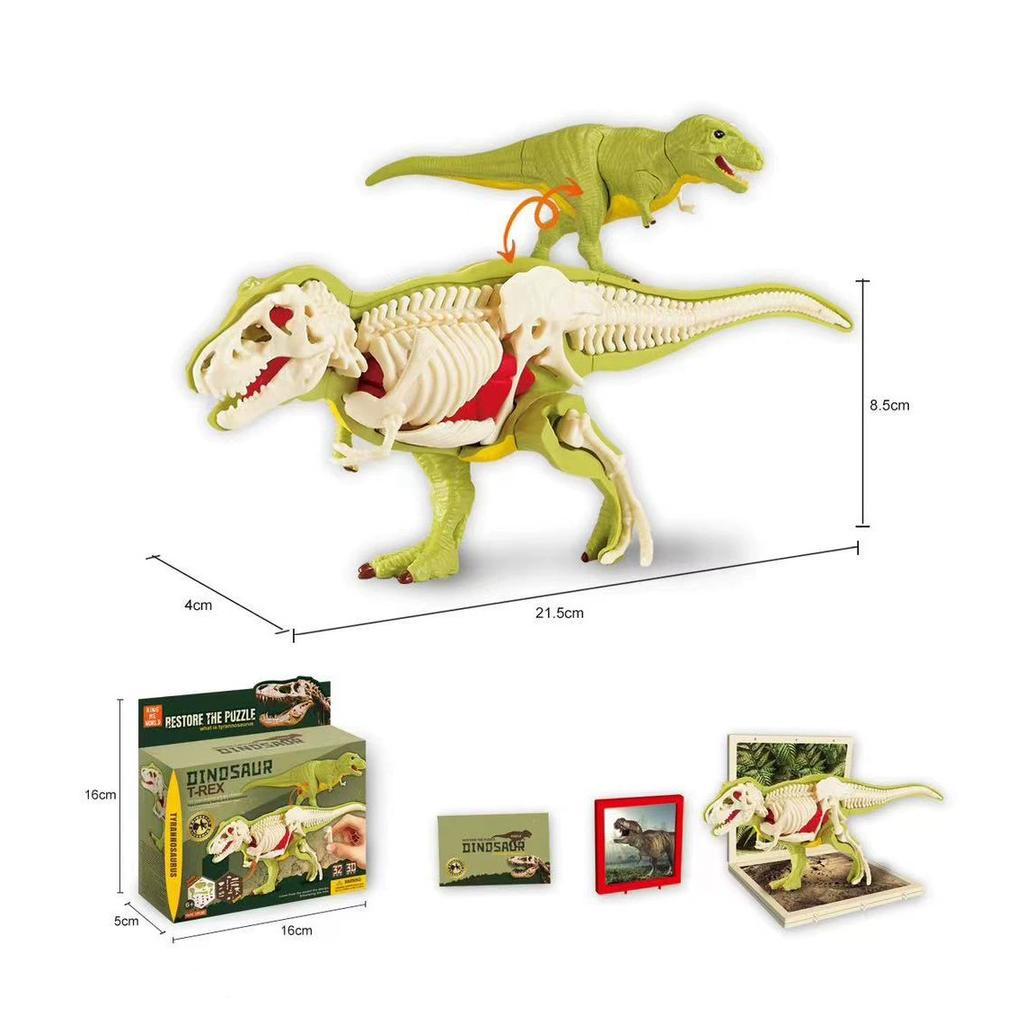 3D DIY Zusammengebaut Anatomie Dinosaurier Spielzeug Kinder Montage Tier Sammlerstück Dinosaurier Spielzeug Anatomie Kunststoffmodell Pädagogisch Kind