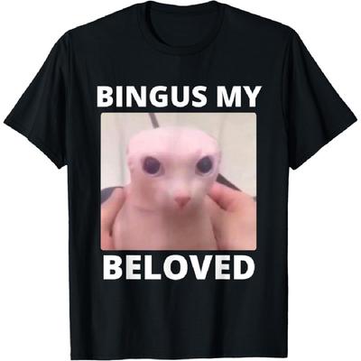 Bald Bingus My Beloved Hairless Sphinx Cat Bingus Cat Meme T-Shirt