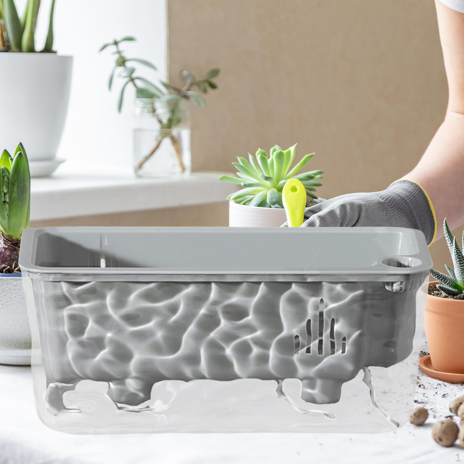 

Rectangle Self Watering Planter Garden Window Sill Clear Vegetables Grow Container Flower сірий колір