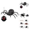Remote Control Spider Toy With Plastic Material For Kids Age 7 To 14