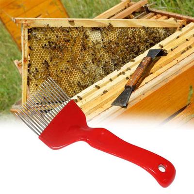 18/21 Pin Bee Honey Fork Straight Needles Stainless Steel Honey Scratcher Plastic Handle Yellow/Red/ Honey Scraper Honeycomb