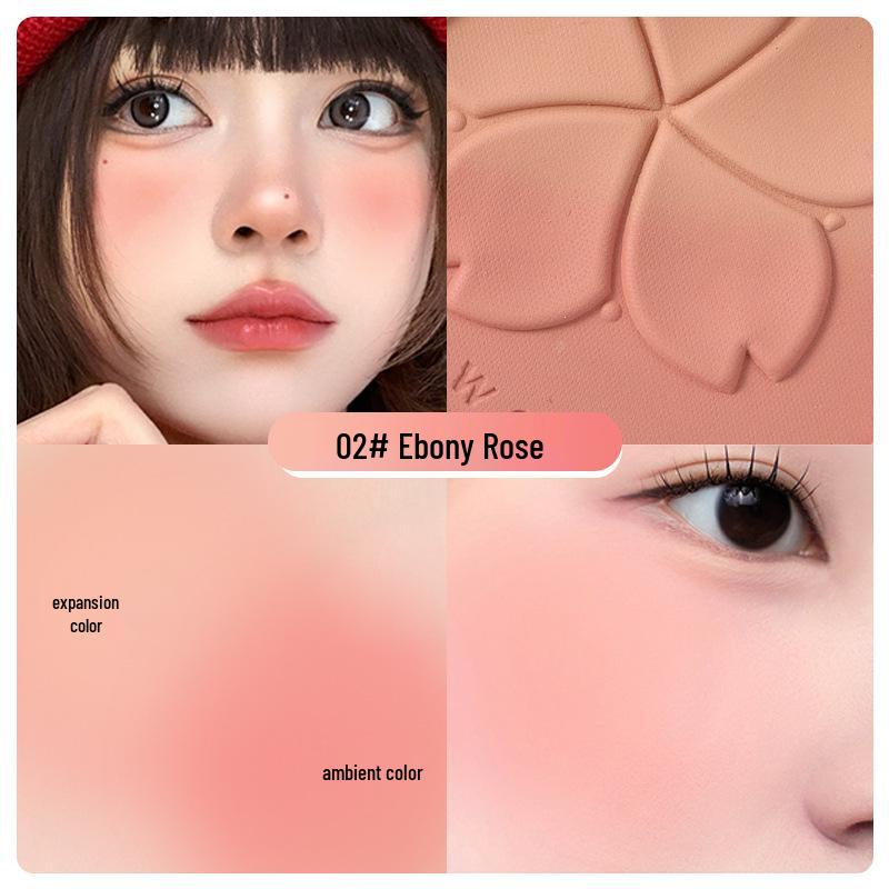 

Градиентный цветочный дуэт румян: Прозрачный и матовый хайлайтер