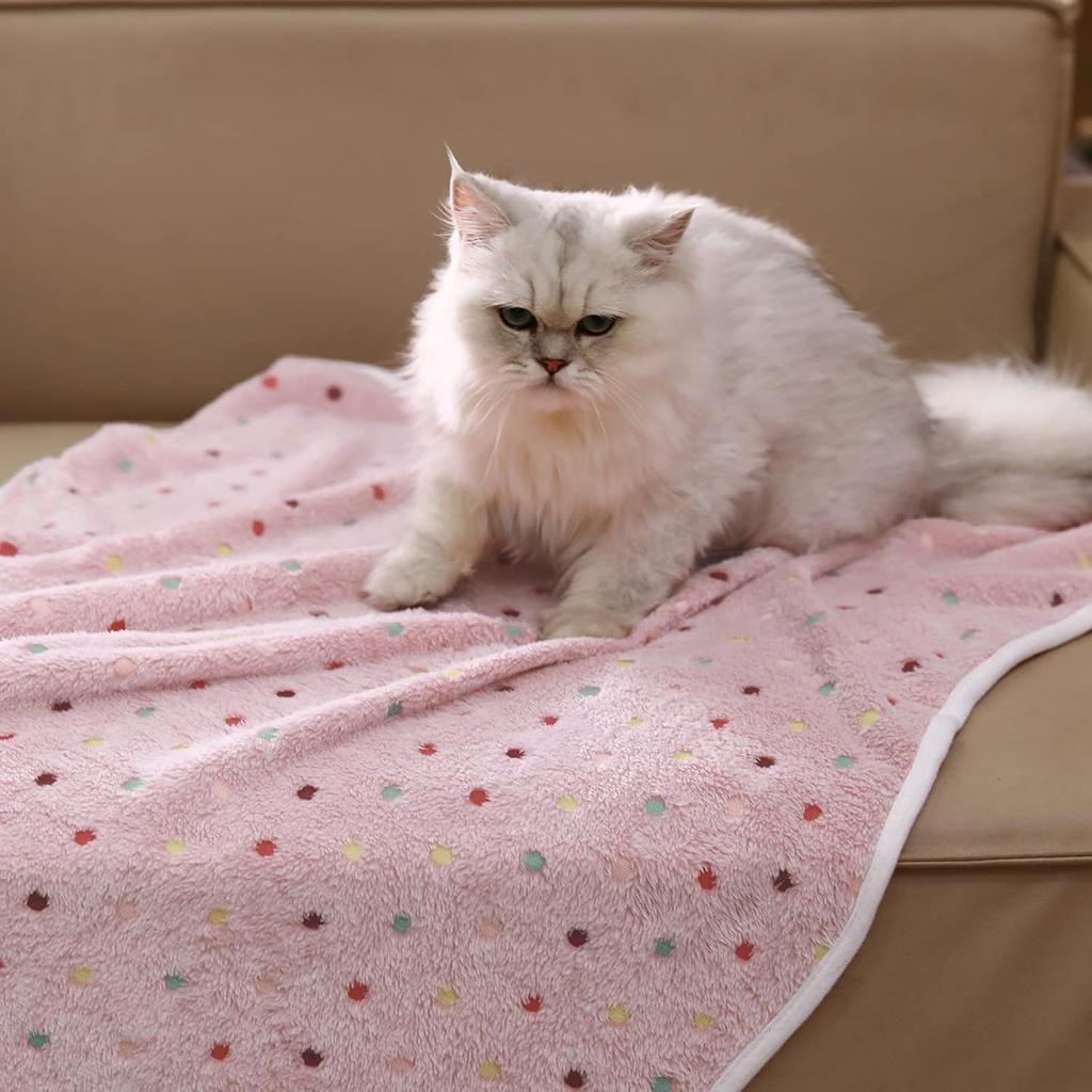 Custom Cartoon Logo Microfiber Dog Towel Quick Dry Absorbent Embroidered Print Bath Pet Blanket Washable