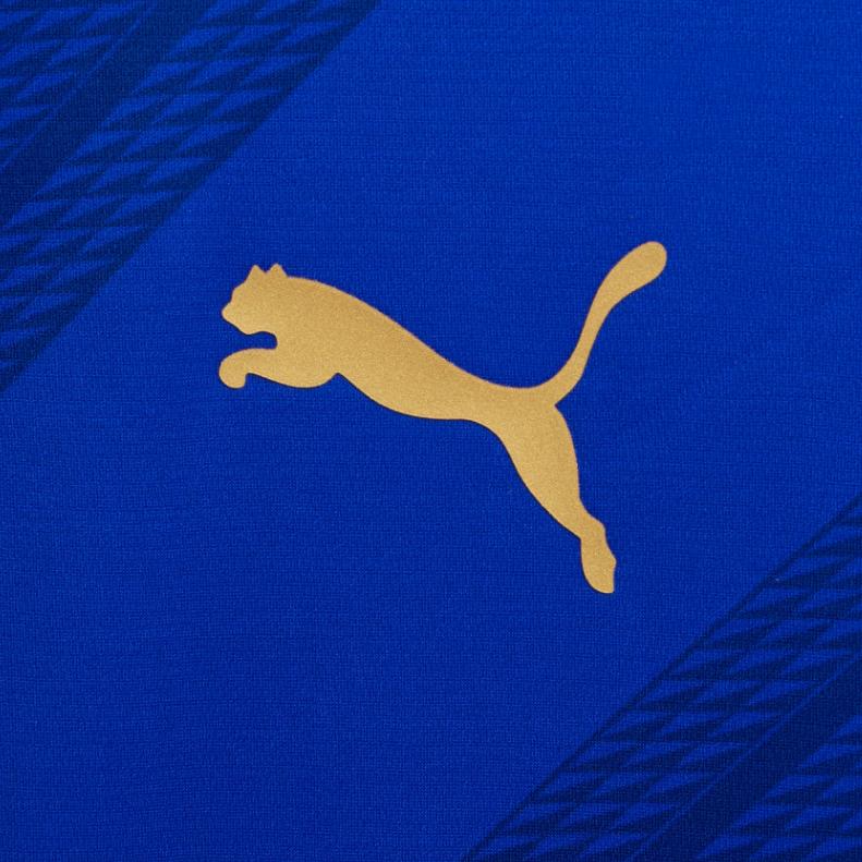 Puma Sbfc Home Jersey Striped Print Comfortable Breathable Versatile Short Sleeve Football Shirt Men Jerseys Water-Blue 940800-01