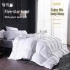 YIYIAI 80S Sateen Cotton Hotel Duvet Insert with 70% White Duck Down