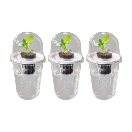 1/2/3/5/6/8/10Pcs Hydroponic Plants Growing Cup with Dome Transparent Plants Germination Pot Gardening Nursery Plants Starting Container