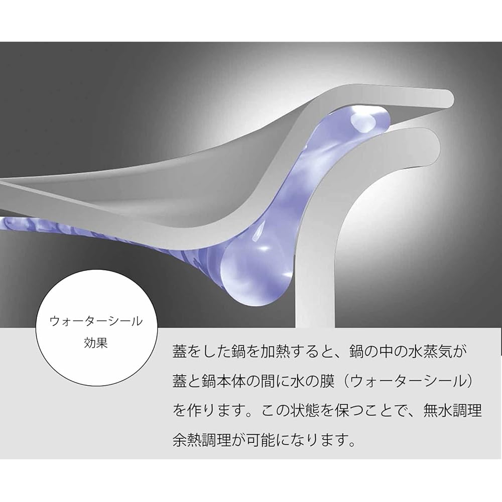 Miyazaki Seisakusho Geo Double-Handled Pot 20cm Made in Japan IH Compatible All Heat Source