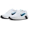 Nike Flex Train White/Blue Hero/Black Men Sneakers HV9972-101