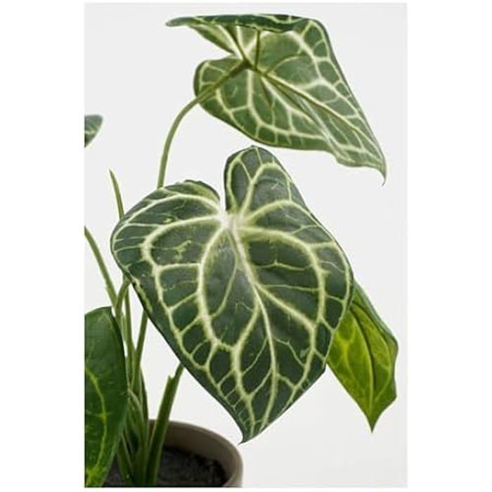 Plante décorative - MICA DECORATIONS - Caladium - Ø 21 cm - Hauteur 28 cm - Artificielle