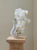 Real Touch Artificial Orchid Flowers 9 Heads White Phalaenopsis Long Stem Yellow Faux Orchids for Home Wedding Centerpiece Decor