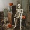 36" Halloween Posable Skeletons Full Body Plastic Human Bone Model with Movable Joints for Yard Haunted House Indoor Outdoor Decor