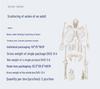 Detachable Full-Body Human Skeleton Model for Teaching & Study