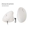 Kompakte ergonomische vertikale Bluetooth-Maus für Mädchen