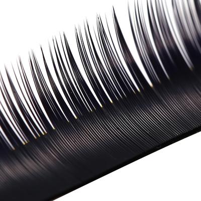 Extension ciglia