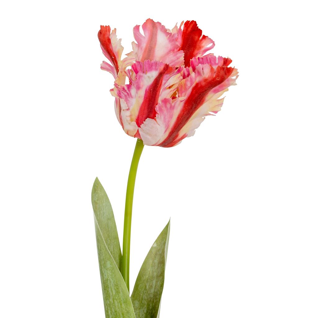 Hill Interiors Parrot Tulip Artificial Flower
