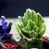 Retro Coral Rockery Crafts Resin Coral Aquarium Ornaments Artificial Coral Decoration
