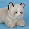 Super Soft Cat Doll New Cute Doll Cat Plush Toy