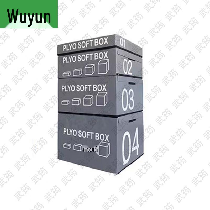 Wujun Gymnastics & Fitness Training Equipment