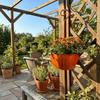 Vintage Umbrella Planter European Styles Flower Basket Plants Vases Wall Mounted Planter  Patio