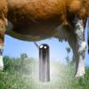 Milking Liner Cup Easy To Use Craftsmanship Accessory Milk Teat
