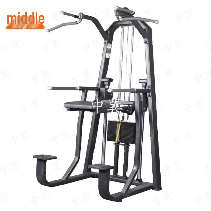 Zhongxun EM1025 Knee Raise and Dip Station