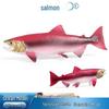 Kids' Deep-Sea Exploration Marine Creature Model Toy - Salmon, Mahseer, Fish Ornament