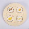 Life Cycle Model Set Early Education Wooden Jigsaw Puzzles Matching Game Growth Stage of and Animal