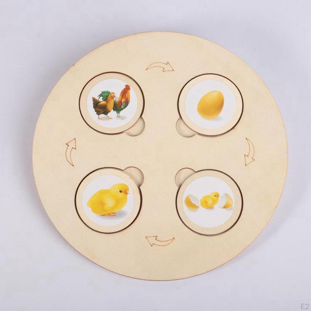 Life Cycle Model Set Early Education Wooden Jigsaw Puzzles Matching Game Growth Stage of and Animal