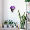 Premium Iron Wall Mounted Flowerpot Rack Stylish Plant Display Stand Space Saving Garden Decor for Bonsai Hanging Flowerpot