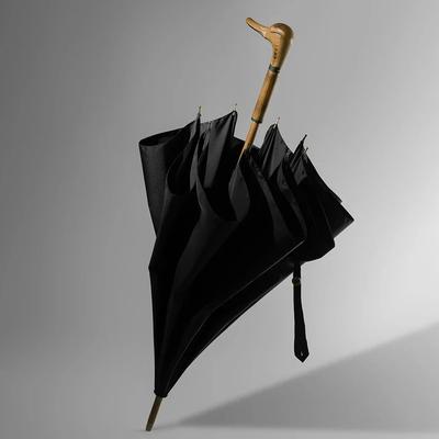 Accesorios – Paraguas