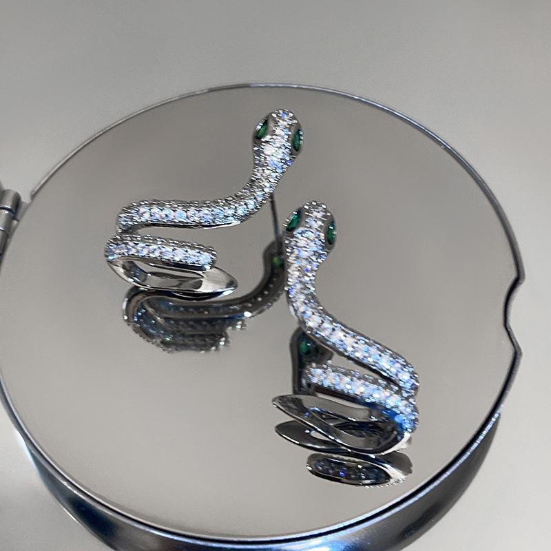 Silver needle zircon exquisite natal year snake earrings Korean ins niche design stud earrings women's high-end earrings