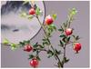 Artificial Pomegranate and Persimmon Fruit Flower Branch for Living Room or Entryway Decor