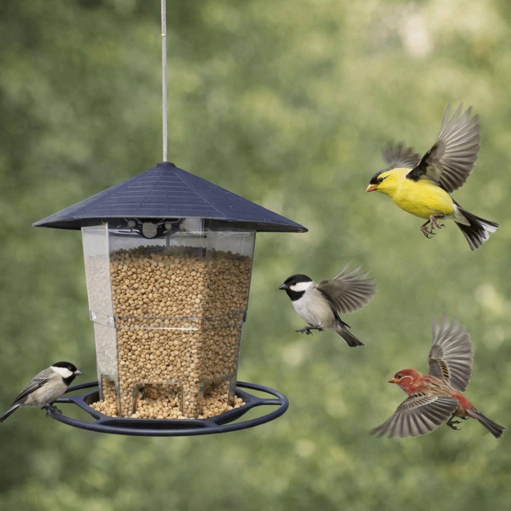 Waterproof Hanging Bird Feeder Folding Bird Food Dispenser Multi-purpose Bird Feeder Tray  Patio