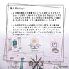Trinity Tarot, a genuine FLATLAND tarot deck with 78 cards and a Japanese instruction booklet.