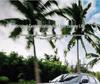 Waterproof TPE Floor & Trunk Mats for Changan Oshan Z6/Z6iDD - Full Coverage