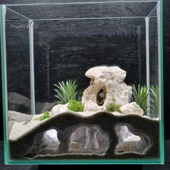 Angle de Vue Aquarium Grotte Imprimée en 3D Cachette pour Poissons Tunnel Naturel Décoration pour Pleco Endroit où se Cacher pour Loche et Poisson-Chat sous le Gravier pour Cichlidé Clown