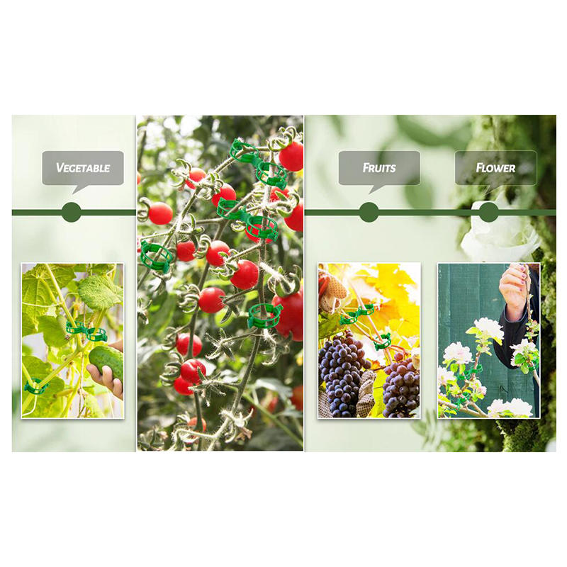 100PCS Garden Plant Flowers Tied Bundle Branch Clamp Clip Class Tools Flowers Vegetables Vine