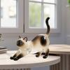 Cute Cat Key Chain Cat Dog Keepsake Hair Keyring Acrylic Pendant Clear Memorial Keychains for Collection Backpack Purse Bag