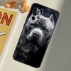 Pit Bull Pitbull Dog For Samsung Galaxy A33 A36 A56 A26 A16 A15 A55 A53 A35 A22 A32 A52 A54 A34 A14 A05 A06 Case