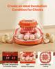 12 Egg Incubator, Automatic Egg Turner with LED Candler, Temperature & Humidity Control, 360° View Clear Window, Poultry Eggs Incubator for Home Farm,