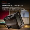 Roland CUBE Street Portable Mini Amp for and Vocal for Easy Live PA MINI/CUBE-ST-MI Amplifier, Guitar, Keyboard, Microphones,