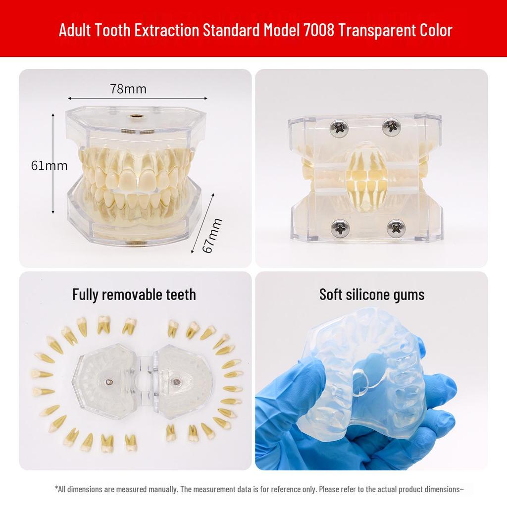 Dental Educational and Communication Model Set: Comprehensive, Removable, and Implant Restoration Models