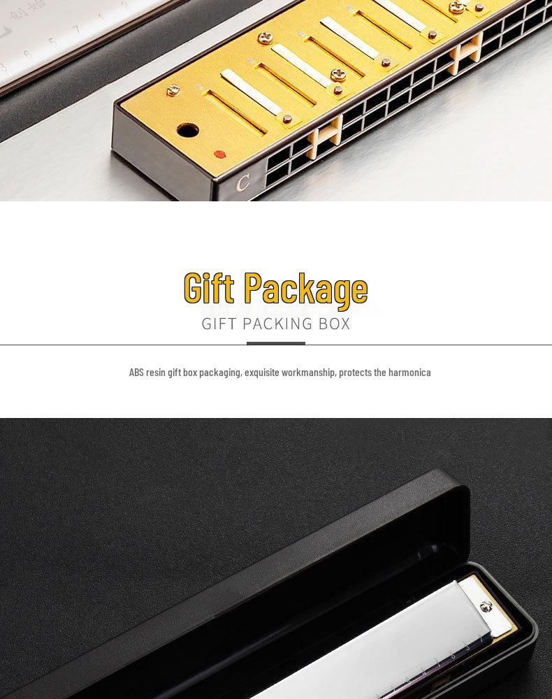 Beginner 24-Hole Double Reed C Key Harmonica for Adults and Children - Ideal Self-Study Gift