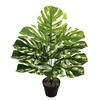 Nordic Style Variegated Monstera: Potted Plant for Home & Garden Decor